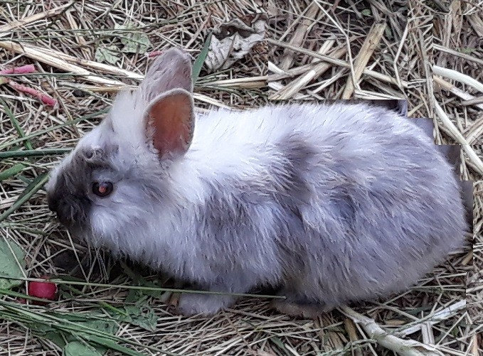nom de la photo